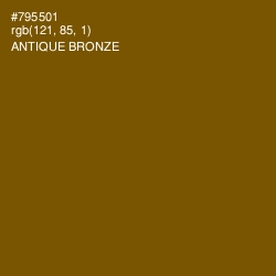 #795501 - Antique Bronze Color Image